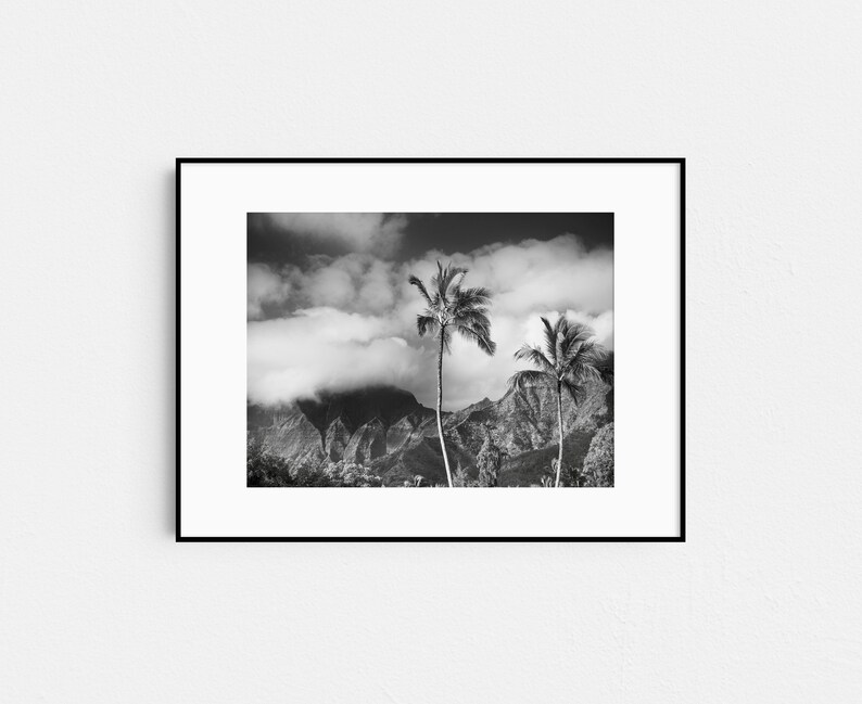 Hawaii Landscape Print, Fine Art Black and White Photography, Kauai Palm Trees, Tropical Wall Art image 4