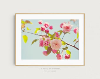 Flower Photography, Pink Blossoms, Nature Photography, Spring Decor, Blue and Pink Wall Art, 8x10 Botanical Print, Mom Gift