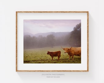 Cow Print, Rustic Nature Photography Print, Rustic Wall Decor, Farmhouse Decor, Highland Cow Art, Rural Landscape Photography, Farm Animal