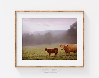 Cow Print, Rustic Nature Photography Print, Rustic Wall Decor, Farmhouse Decor, Highland Cow Art, Rural Landscape Photography, Farm Animal