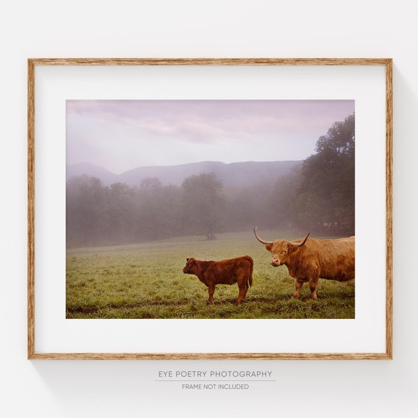 Cow Print, Rustic Nature Photography Print, Rustic Wall Decor, Farmhouse Decor, Highland Cow Art, Rural Landscape Photography, Farm Animal