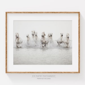 May include: A group of white horses running through shallow water. The horses are in a line, with their heads held high and their manes flowing in the wind. The water is a light blue color, and the sky is a light gray color.