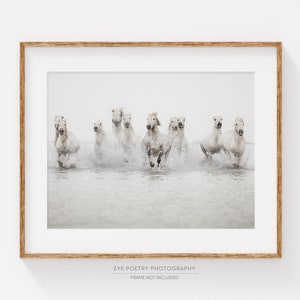 Horse Photography, Large Wall Art Print, Horse Print, Nature Photography, White Horses Running in Water, Fine Art Print, Large Art