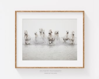 Horse Photography, Large Wall Art Print, Horse Print, Nature Photography, White Horses Running in Water, Fine Art Print, Large Art