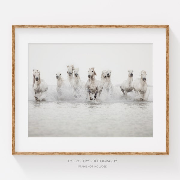 Fotografía de caballos, impresión de arte de pared grande, impresión de caballos, fotografía de naturaleza, caballos blancos corriendo en el agua, impresión de bellas artes, arte grande