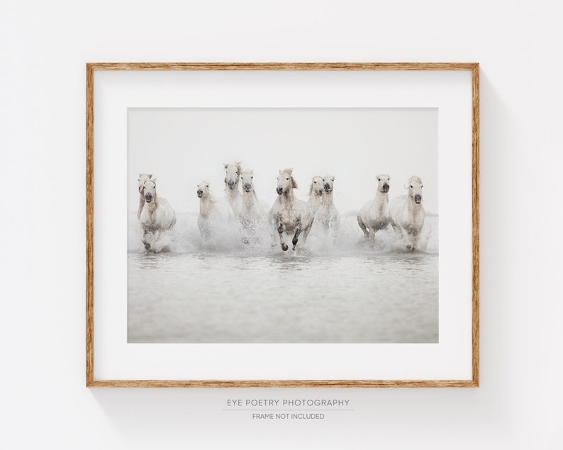 Horse Photography, Large Wall Art Print, Horse Print, Nature Photography, White Horses Running in Water, Fine Art Print, Large Art image 1