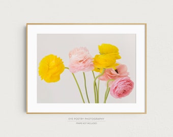 Pastel Ranunculus Flowers, Modern Shabby Chic, Wall Art, Nature Photography, Flower Photography Print, Floral Print, Wall Decor "Uplift"