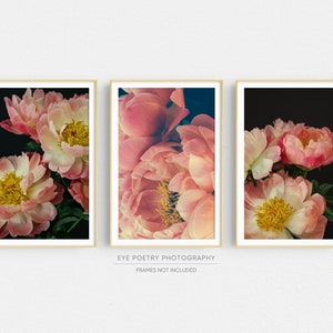 Peony Prints, Floral Boho Gallery Wall Art, Set of 3 Prints, Botanical Prints, Boho Decor, Pink Wall Art, Prints, Flower Photography image 1