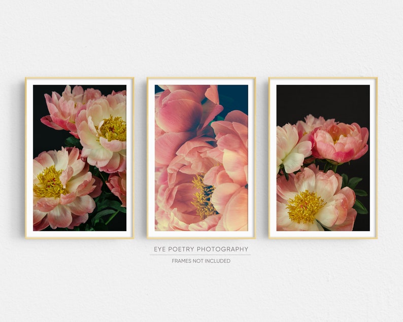 Peony Prints, Floral Boho Gallery Wall Art, Set of 3 Prints, Botanical Prints, Boho Decor, Pink Wall Art, Prints, Flower Photography image 1