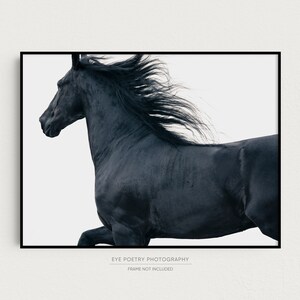 May include: A black horse with a long flowing mane runs across a white background. The horse's head is turned to the side, and its eyes are closed. The horse's mane is blowing in the wind.