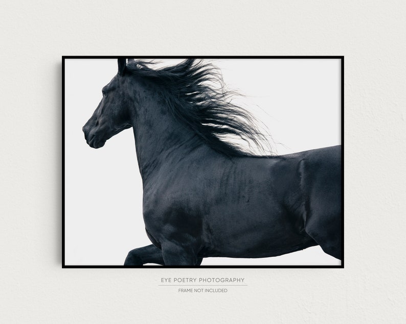 May include: A black horse with a long flowing mane runs across a white background. The horse's head is turned to the side, and its eyes are closed. The horse's mane is blowing in the wind.