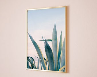 Tropical Agave Photo, Cactus Wall Art, Prints, Green, Blue, Coastal Nature Photography, California Photography Print, Cactus Print