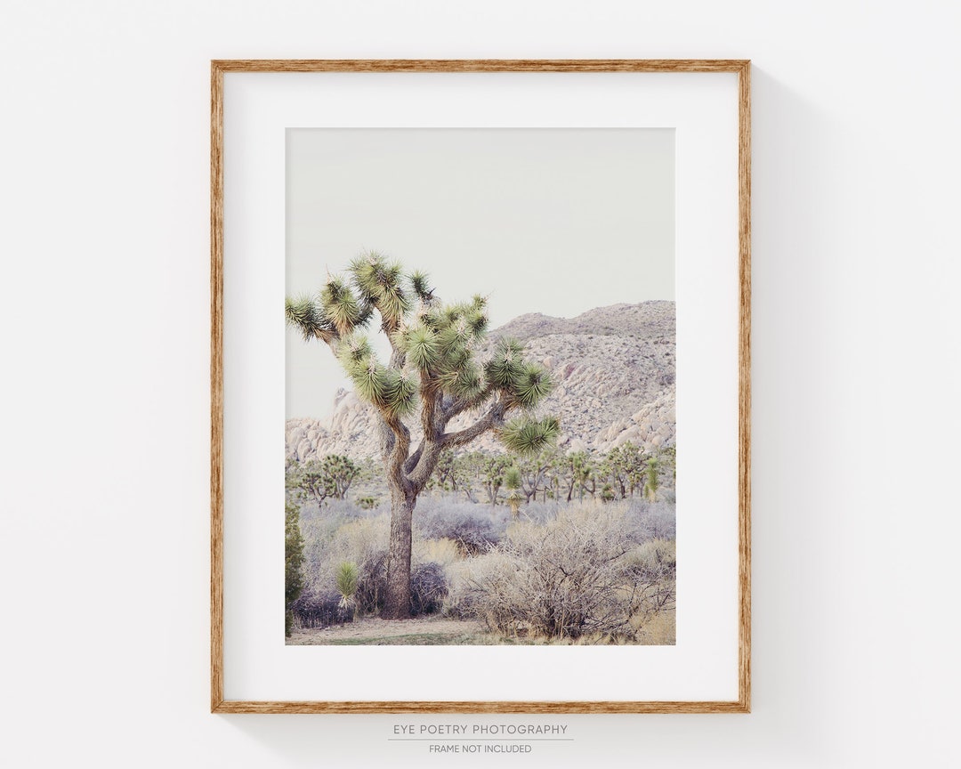 Joshua Tree Photography Print, Desert Landscape Print, Boho Wall Art ...