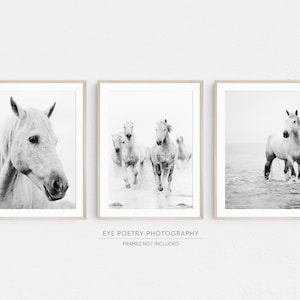 Horse Prints, Set Of 3 Prints, Living Room Wall Art Prints, Black and White Photography, Minimalist Nature Photography