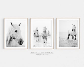 Horse Prints, Set Of 3 Prints, Living Room Wall Art Prints, Black and White Photography, Minimalist Nature Photography