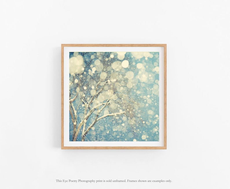 Winter Landscape Photography, Abstract Wall Art Print, Square Tree Print, Abstract Snow Photograph, Blue Art, 8x8 Square Print image 1