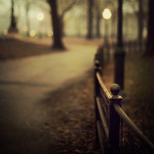 Central Park Fence in Fog, New York Photograph, Autumn, Fall, Night, Fine Art Photography, Black and Gold, 8x8 - Open Me Carefully