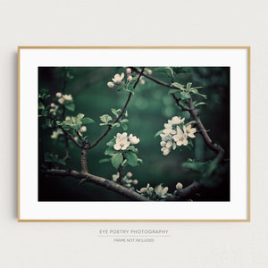Floral Art, Flower Photo, Botanical Print, Flower Photography Print, Nature Photography, Emerald Wall Decor, Garden Gifts &quot;Midnight Garden&quot;