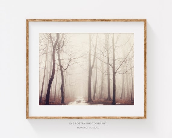 Forest Print Nursery, Winter Landscape Photography, Nature Photography Print, Snow, Fog, Landscape Print, Forest Wall Art "Bush of Ghosts"