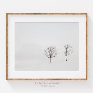 Winter Landscape Photography Print, Black and White Art, Nature Photography, Minimalist Art Print, Scandinavian Art, Trees Two Solitudes image 1