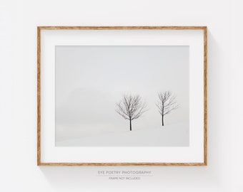 Winter Landscape Photography Print, Black and White Art, Nature Photography, Minimalist Art Print, Scandinavian Art, Trees - Two Solitudes