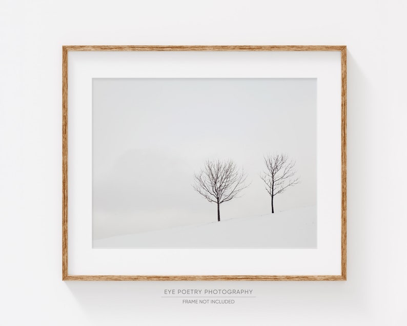 Winter Landscape Photography Print, Black and White Art, Nature Photography, Minimalist Art Print, Scandinavian Art, Trees Two Solitudes image 1