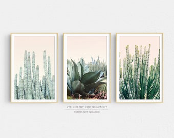 Cactus Prints, Boho Wall Art Set, 3 Piece Wall Art, Boho Decor, Botanical Prints, Bedroom Decor Women, Cactus Photography Prints