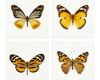 SALE Set of Four Butterfly Prints, Nature Prints, Nature Photography, 5x5 Gallery Wall Art, Burnt Orange, Wall Decor