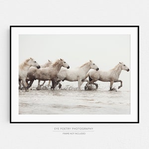 White Horse Print, Horse Art Print, Nature Photography, Wild Camargue Horses, Beige Horizontal Wall Art, Fine Art Photography Print image 8