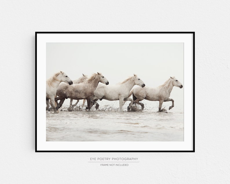 White Horse Print, Horse Art Print, Nature Photography, Wild Camargue Horses, Beige Horizontal Wall Art, Fine Art Photography Print image 8