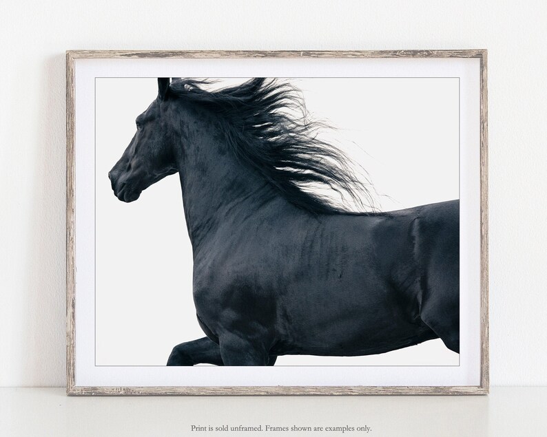 May include: A black horse with a flowing mane runs across a white background. The horse's head is turned to the side, and its eyes are closed. The horse's body is in motion, and its legs are extended.