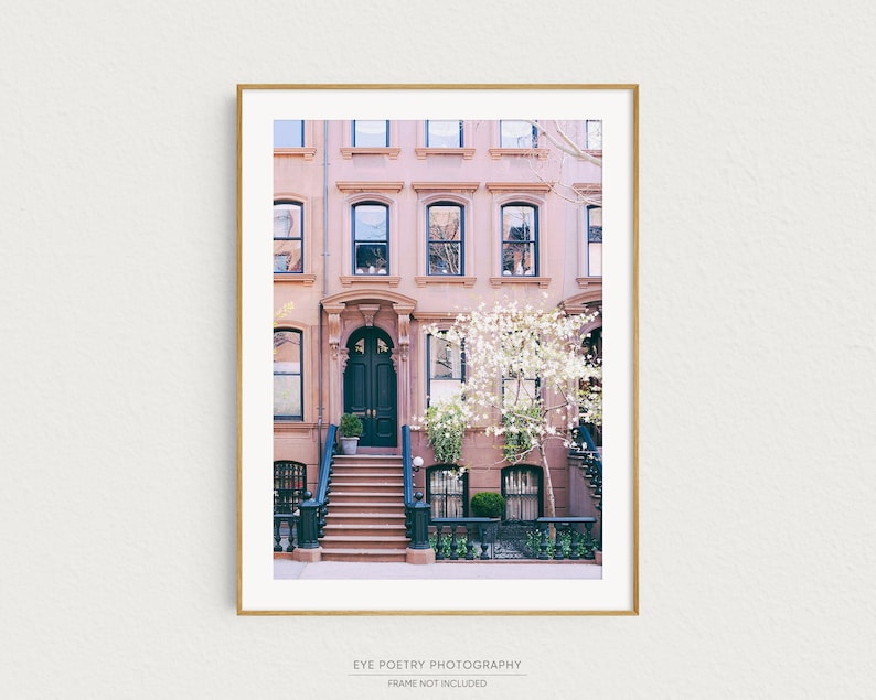 May include: A photograph of a row of brown brick townhouses with a black door and white flowering tree in front. The door has a black frame and a set of steps leading up to it.