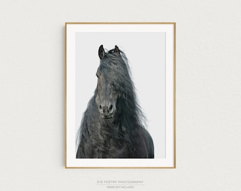 Horse Photography, Black Friesian Horse Print, Stallion with Long Wavy Mane, Fine Art Photography Print, Horse Art, Nature Photography