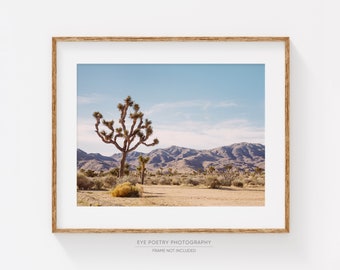 Joshua Tree Art Print, Cactus Print, Desert Landscape Photography Print, Large Wall Art, Nature Photography, Boho Decor, Cactus Decor, JT2