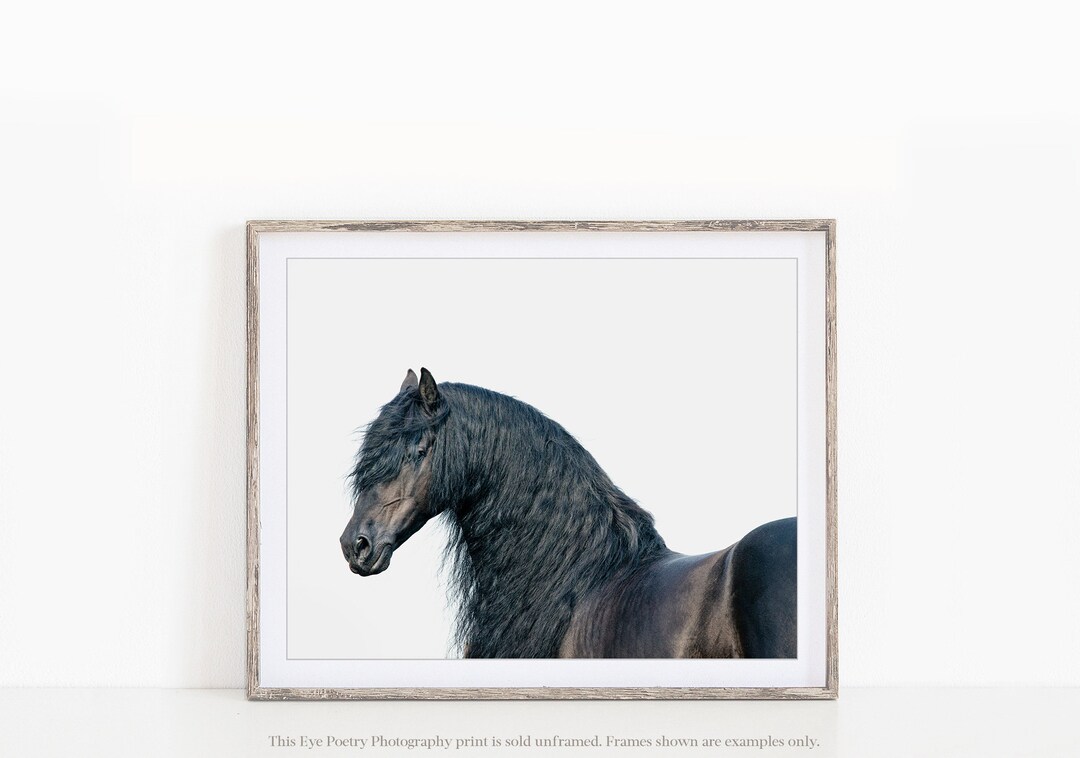 Black Horse Print Friesian Horse Long Mane Horse Art Etsy