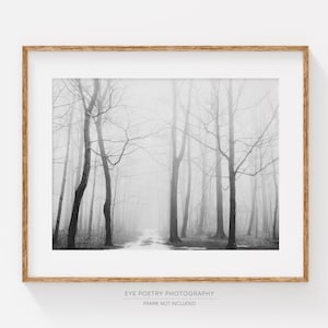 May include: A black and white photograph of a foggy forest path. The trees are bare and the path is barely visible through the fog.
