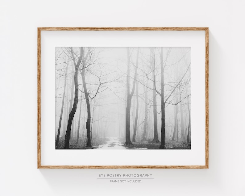 May include: A black and white photograph of a foggy forest path. The trees are bare and the path is barely visible through the fog.