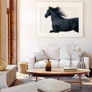 May include: A white couch with two pillows and a throw blanket sits in a living room with a wooden coffee table. A black and white photo of a horse running is hanging on the wall above the couch. A small brown vase with a floral arrangement sits on the coffee table.
