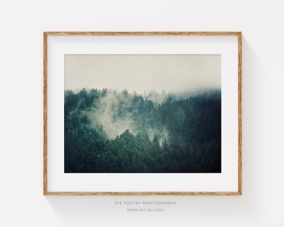 Moody Foggy Pine Forest Wall Art: Emerald Green Oregon Landscape Photography Print