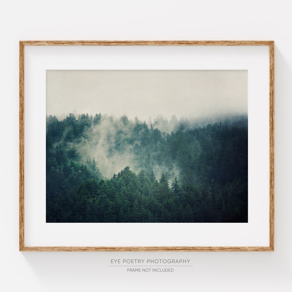 Moody Foggy Pine Forest Wall Art: Emerald Green Oregon Landscape Photography Print