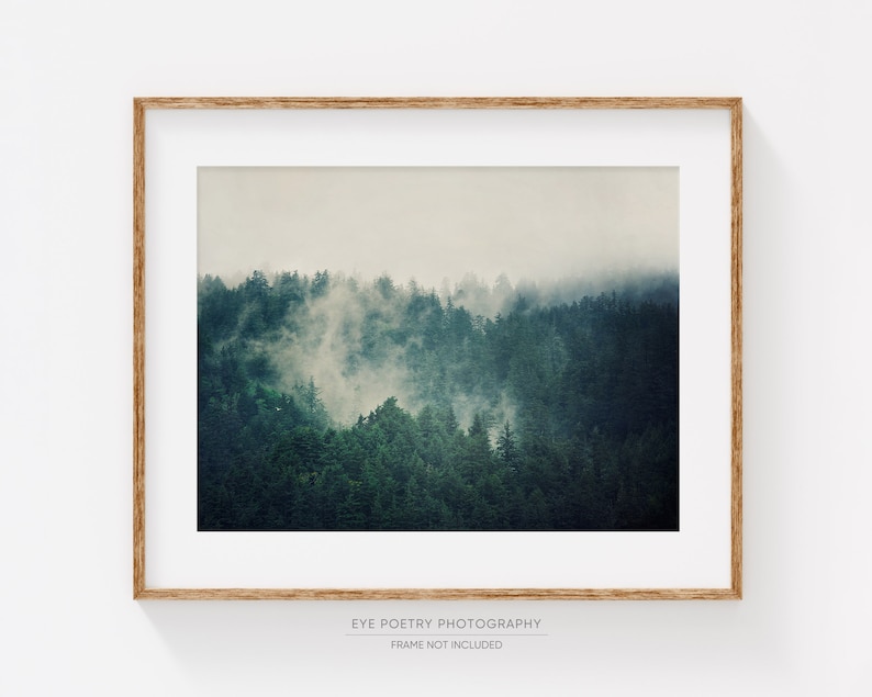 Foggy Forest Print, Landscape Photography, Nature Photography, Oregon Spring, Green, Horizontal Wall Art, Fine Art Photography Print image 1