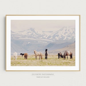 Horse Print, Iceland Photography Print, Nature Photography, Horse Art Print, Horse Gifts for Girl, Large Art, Horizontal, Wall Art