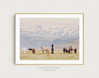 Horse Print, Iceland Photography Print, Nature Photography, Horse Art Print, Horse Gifts for Girl, Large Art, Horizontal, Wall Art