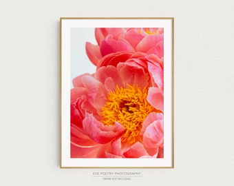 Pink Peony Print, Flower Photography, Nature Photography Print, Peony Wall Art, Gardening Gift, Flower Print, Gift for Women "In the Pink"