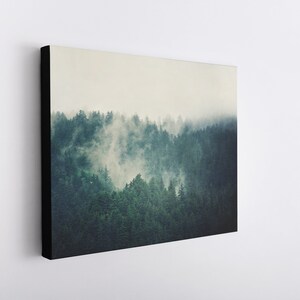 May include: A misty forest scene with a dense canopy of green trees. The fog creates a soft, ethereal atmosphere.