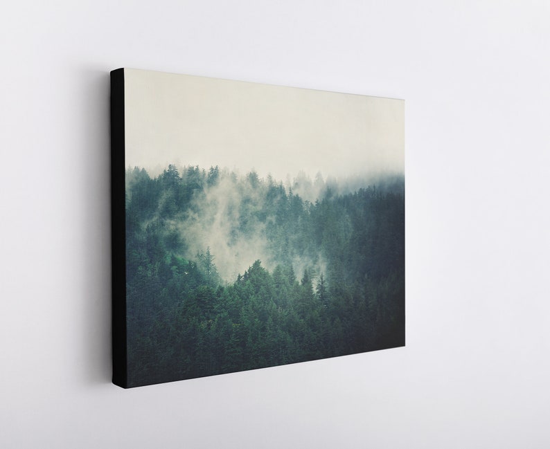 May include: A misty forest scene with a dense canopy of green trees. The fog creates a soft, ethereal atmosphere.