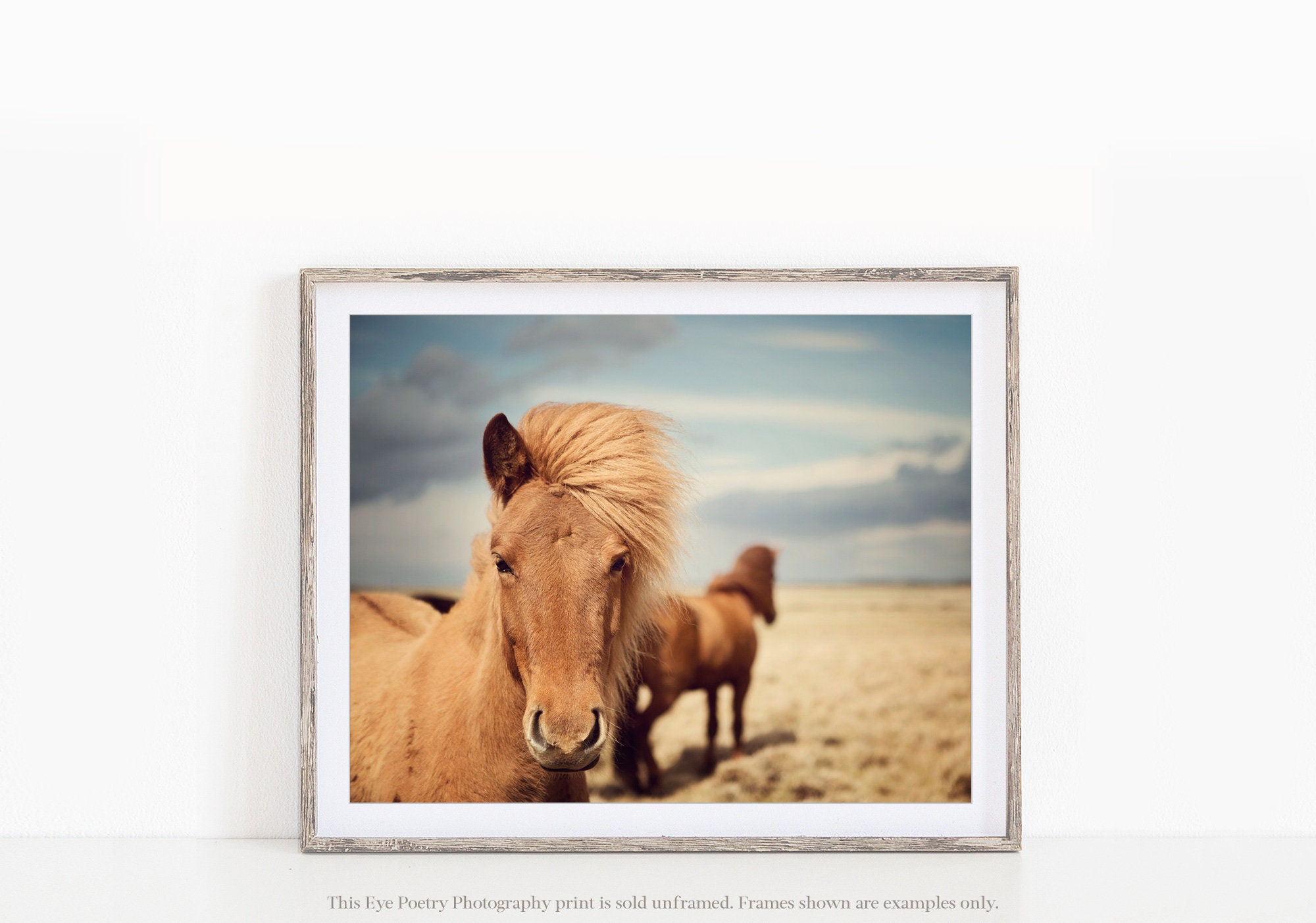Icelandic Horse Photography Print Scandinavian Art Wall Art Etsy