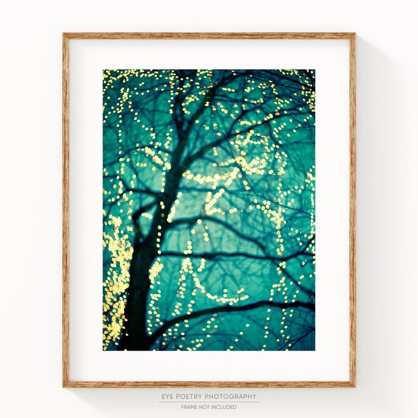 Fairy Lights, Winter Tree Photography Print, Turquoise Blue Wall Art, Wall Decor, Fine Art Photography