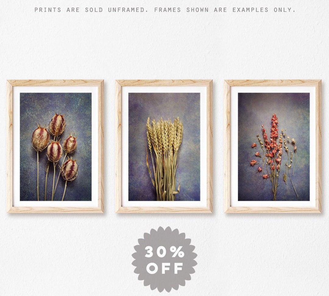 art prints set of 3 for kitchen - etsy Images High... Rustic Kitchen Decor Set of 3 Prints Farmhouse Decor Dried - Etsy