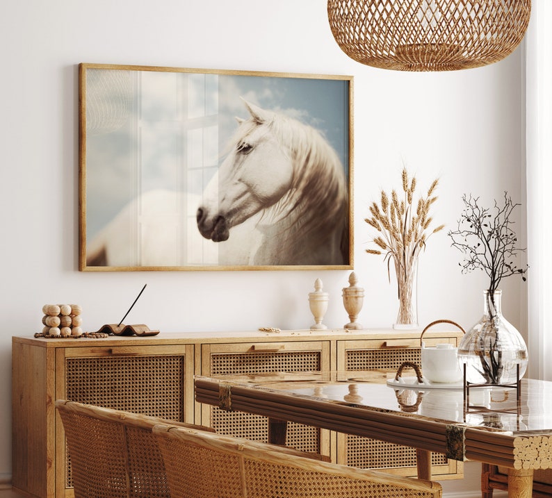 Horse Photography, Wild White Horse Portrait, Large Wall Art Print, Horse Art, 16x20 Fine Art Nature Photography Print image 2